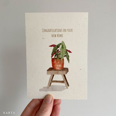 Carte de voeux - une plante appelée dotty