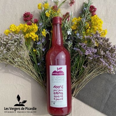 Jus de Pomme & Cassis 0,5L