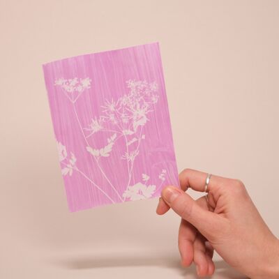 Kit de rosatipia de gran formato - ¡Como la cianotipia, pero en rosa!