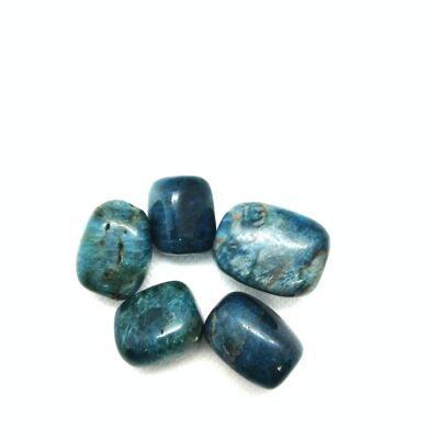 Set of 5 Apatite tumbled stones