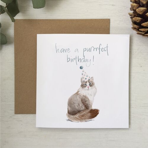 Birthday card, party animal cat pun