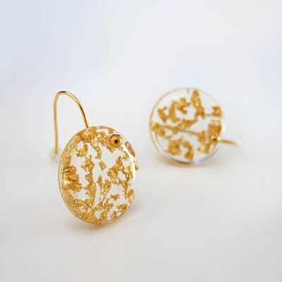 Boucles d'oreilles crochet étincelant