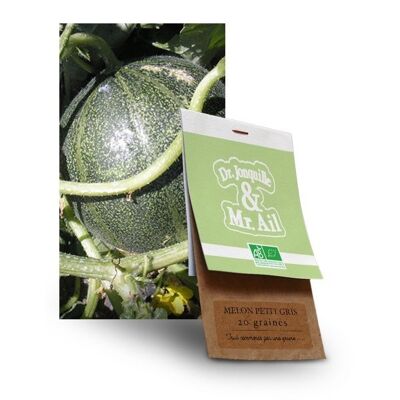 Melon Petit Gris de Rennes