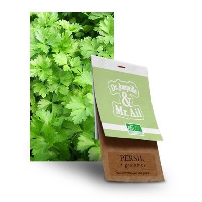 Perejil común de hoja plana