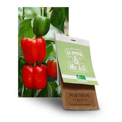Green/red bell pepper yolo wonder