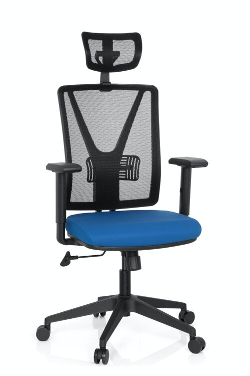 Bürostuhl CARLOW PRO ergonomischer Drehstuhl mit Kopfstütze, Lordosenstütze, Netzstoff, Blau