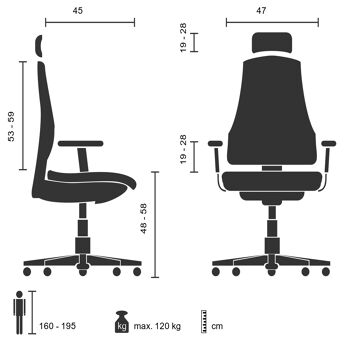 Chaise de bureau CARLOW PRO chaise pivotante ergonomique avec appui-tête, support lombaire, tissu résille, bleu 5