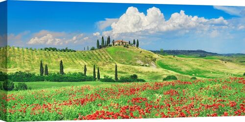 Quadro fotografico, stampa su tela: Frank Krahmer, Cipressi e papaveri, Val d'Orcia, Toscana