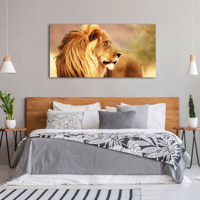 Photographic picture, canvas print: Lion, Namibia