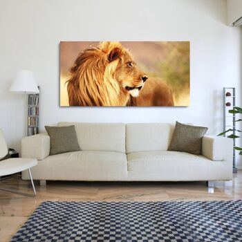 Image photographique, impression sur toile : Lion, Namibie 3
