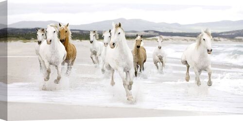 Quadro fotografico, stampa su tela: Zero Creative Studio, Cavalli sulla spiaggia