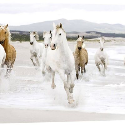 Quadro fotografico, stampa su tela: Zero Creative Studio, Cavalli sulla spiaggia