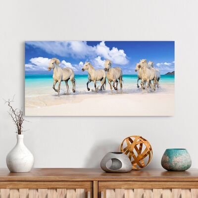 Peinture photographique, impression sur toile : Pangea Images, Horses on Lanikai Beach, Hawaii