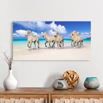 Peinture photographique, impression sur toile : Pangea Images, Horses on Lanikai Beach, Hawaii 1