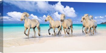 Peinture photographique, impression sur toile : Pangea Images, Horses on Lanikai Beach, Hawaii 2