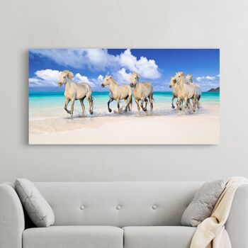 Peinture photographique, impression sur toile : Pangea Images, Horses on Lanikai Beach, Hawaii 3