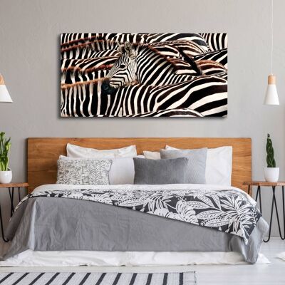 Fotomalerei, Druck auf Leinwand: Pangea Images, Herd of Zebras