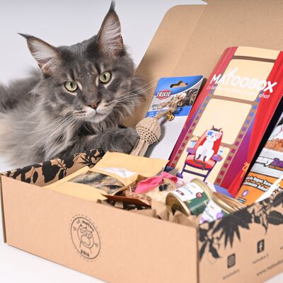 MATOOBOX SINGLE CAT BOX