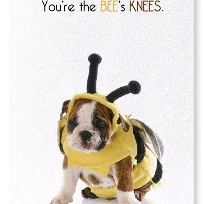 Die Knie der Biene Kunstdruck