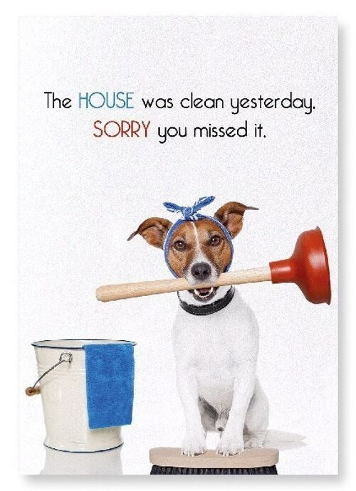 HOUSE CLEANING Art Print