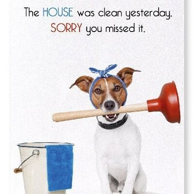 HOUSE CLEANING Art Print