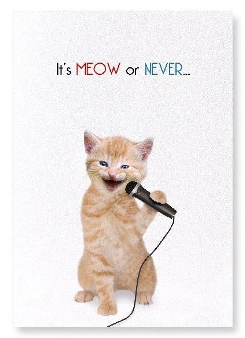 IT'S MEOW OR NEVER Art Print