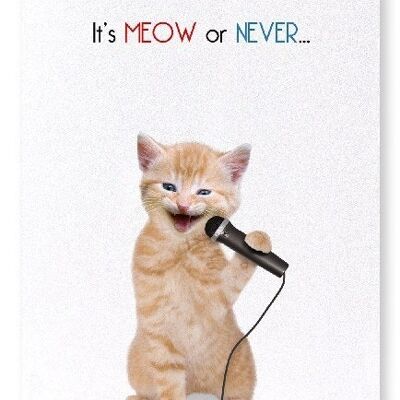 IT'S MEOW OR NEVER Art Print