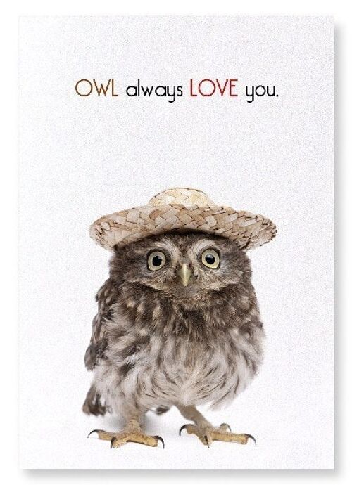 OWL ALWAYS LOVE YOU Art Print