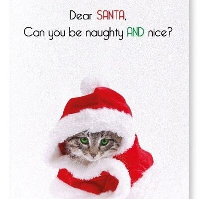 NAUGHTY AND NICE Art Print