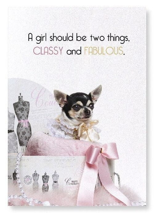 CLASSY AND FABULOUS DOG Art Print