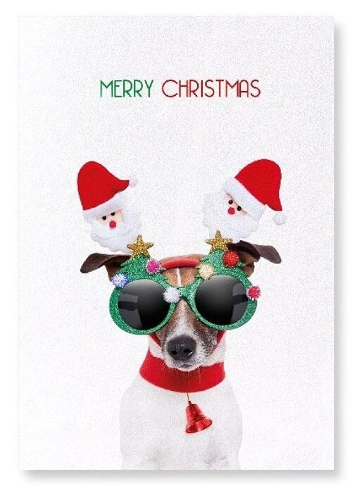 MERRY CHRISTMAS FESTIVE DOG Art Print