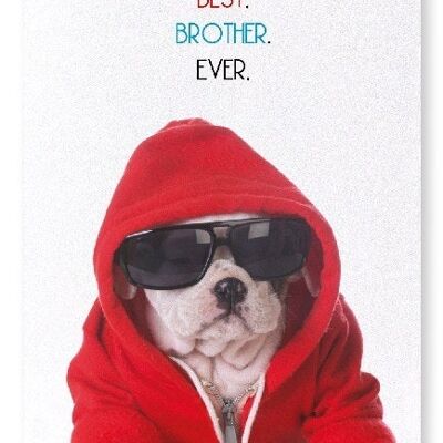BEST BROTHER EVER Art Print