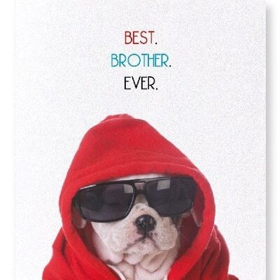BEST BROTHER EVER Art Print