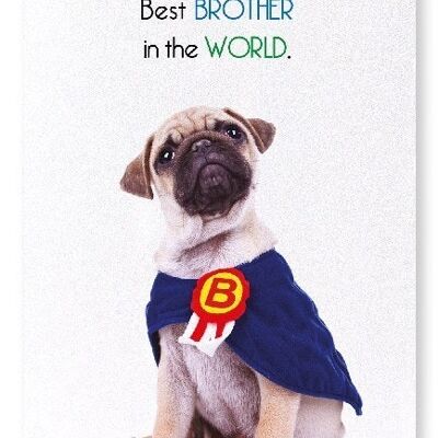 BEST BROTHER IN THE WORLD Art Print