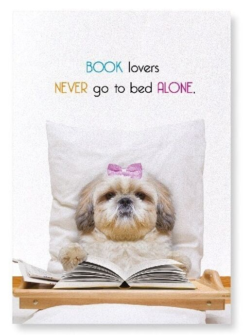 BOOK LOVERS IN BED Art Print