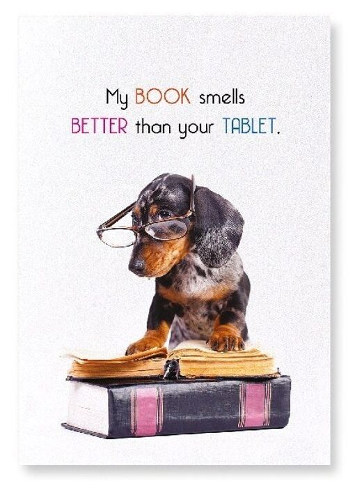 BOOKS SMELL BETTER Art Print