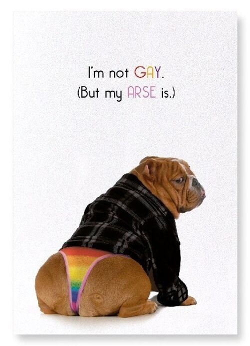 I'M NOT GAY Art Print