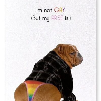 I'M NOT GAY Art Print