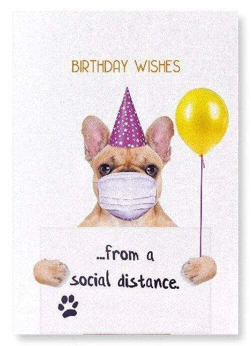 BIRTHDAY FRENCHIE FROM A DISTANCE Art Print