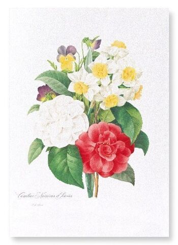 PENSÉES, NARCISSE ET CAMELLIA (DÉTAIL): Impression artistique 3