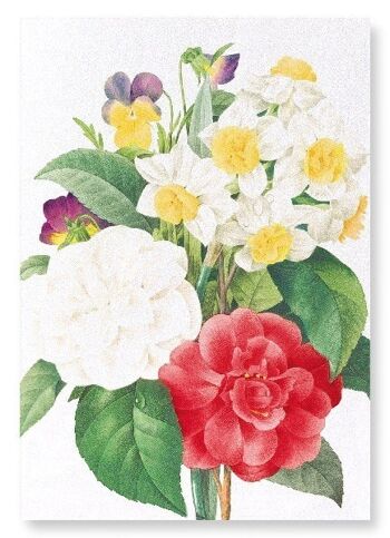 PENSÉES, NARCISSE ET CAMELLIA (DÉTAIL): Impression artistique 1