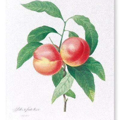 PESCA N. 2 (COMPLETO): Stampa artistica