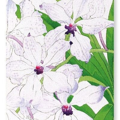 Orchideenblüten Kunstdruck