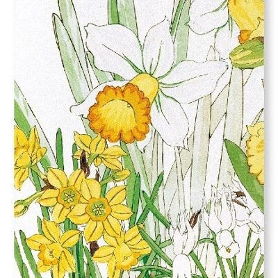 DAFFODIL Art Print