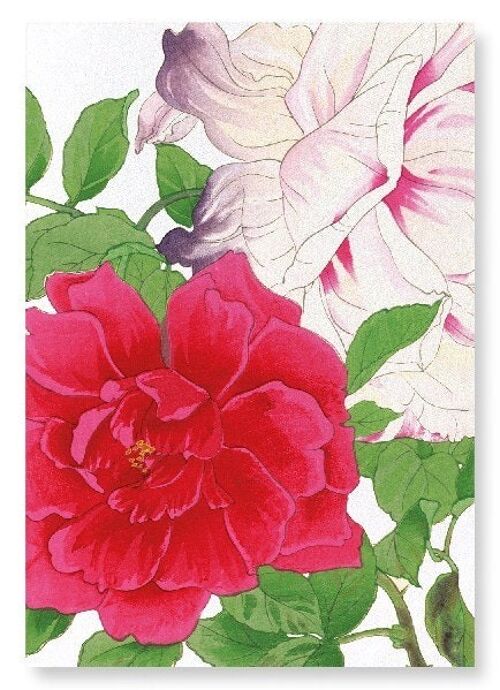 ROSE Art Print