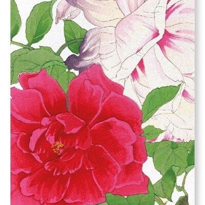 ROSE-Kunstdruck