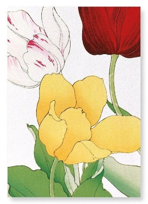 TULIP Art Print