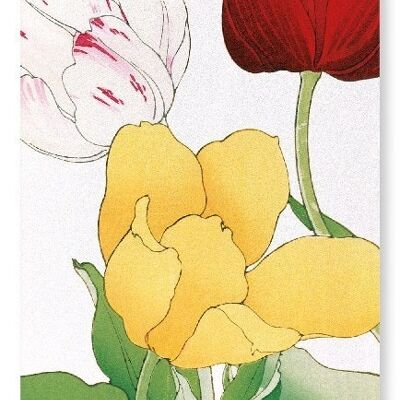 TULIP Art Print