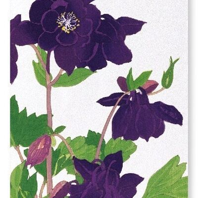 AQUILEGIA Art Print