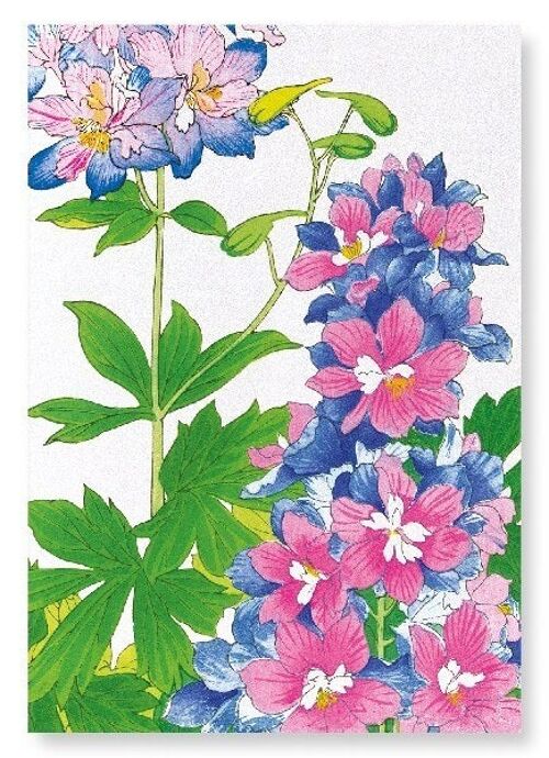 DELPHINIUM FLOWERS Art Print